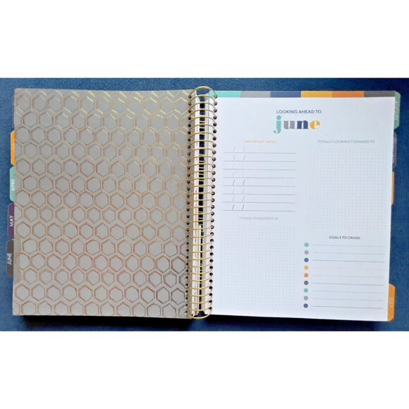 17 Month LG Planner CROWN & BEE Aug 2025 - Dec 2026 Weekly Planning Note Page - Picture 11 of 14